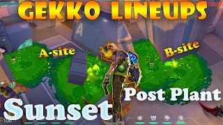 Top 15 Sunset Gekko Post Plant Lineups  Gekko Lineups Sunset  Gekko Mosh Pit on Sunset [upl. by Hartnett]