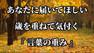 『言葉の重み』未来の後悔を1つでも減らそう。名言 名言集 人生の名言 心に響く言葉 [upl. by Nolan]