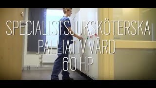 Jobbar du som sjuksköterska Vill du specialisera dig inom palliativ vård [upl. by Iramaj677]