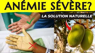 Anémie sévère  2 semaines pour retrouver votre vitalité Therence nature [upl. by Ettesil]