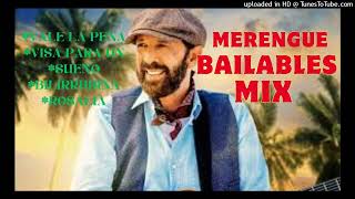 MERENGUE BAILABLES MIX JUAN LUIS GUERRA [upl. by Risa]