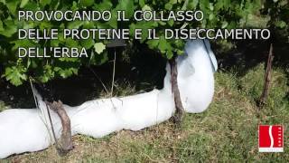 SCHIUMONE  diserbo termico ecologico  Ecological thermal weeding system with hot foam [upl. by Livingston]