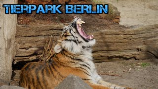 Der Tierpark Berlin hat geöffnet  Europas größter Tierpark  Daily Vlog 21 [upl. by Patnode]