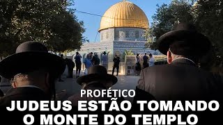 ALERTA PROFÉTICO  Judeus estão tomando o Monte do Templo [upl. by Okkin397]