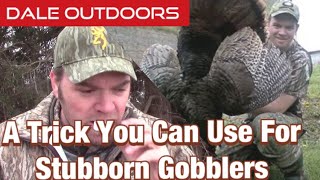 A trick you can use for stubborn gobblers [upl. by Eanram]