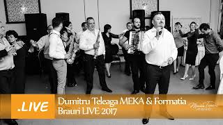 Dumitru Teleaga MEKA amp Formatia Brauri LIVE 2017 [upl. by Oigaib]