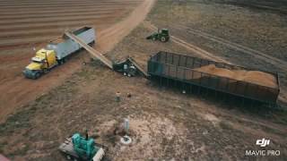 Loading peanuts [upl. by Krischer]