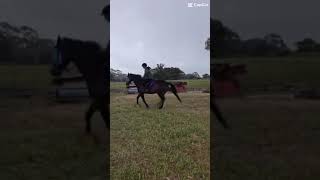 Cantering with long stirrups was making my seat so much better [upl. by Evot]