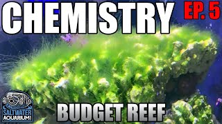 CHEMISTRY in a Budget Reef Tank  Nitrates Phosphates amp Alkalinity [upl. by Llerref]