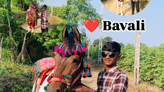 Bavali ni moj  Bavali 🐎  Bhaliya Hiten Chitrasar [upl. by Finny]