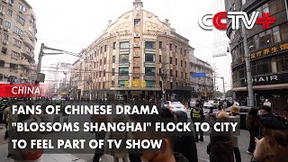 Fans of Chinese Drama quotBlossoms Shanghaiquot Flock to City to Feel Part of TV Show [upl. by Fauch818]