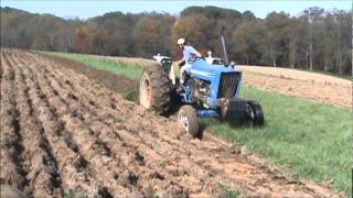 ford 6600 plowing with MF four bottom [upl. by Marielle]