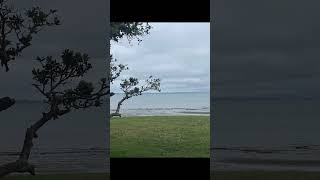 CORNWALLIS BEACH 🏖️ Quite amp beautifulAucklandNew Zealand [upl. by Tadashi]