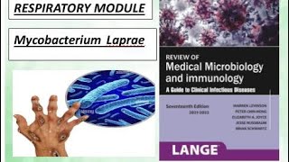 Respiratory microbiology mycobacterium laprae leprosy levinson bacteria microbiology [upl. by Yecats801]