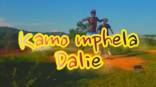 Kamo Mphela ft Tyler ICU  Dalie Official dance video [upl. by Yellehs292]