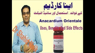 Anacardium Orientaleاینا کارڈیم Uses Side Effect And Dosage [upl. by Jutta]