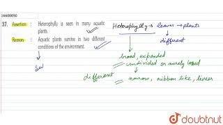 Assertion  Heterophylly is seen in many aquatic plants reason  Aquatic plants survive in two d [upl. by Eelatan]