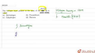 The histogen layer present at the apex of the root tip is called [upl. by Aennyl79]