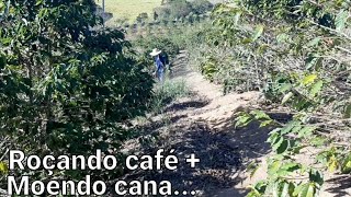 Roçando café  moendo cana roçaenaturezademinas roça canal narureza [upl. by Fee]