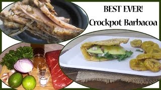 BEST EVER Crock Pot Barbacoa [upl. by Dorweiler393]