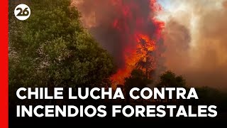 CHILE  Bomberos luchan contra incendios forestales [upl. by Gregory]