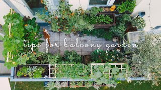 28 Essential Tips for Starting a Balcony Vegetable Garden  Urban Gardening [upl. by Eeraj]