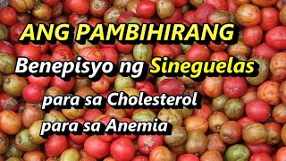 PAMBIHIRANG BENEPISYO NG SINEGUELAS Gamot sa Cholesterol para sa may Anemia sipon lagnat etc [upl. by Macleod]