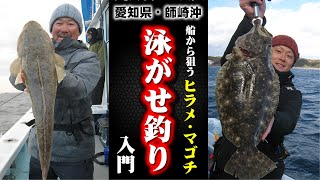 【泳がせ釣り】船から狙うヒラメ・マゴチ！泳がせ釣り入門 in愛知県・師崎沖 [upl. by Yessydo424]