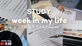 Studying multiple languages during a busy week  study tips  🇨🇳🇰🇷🇫🇷 [upl. by Otrebide946]