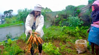 Carrots harvest and cooking Mali Cooking in nature [upl. by Etteiluj586]