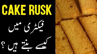 Rusk Cake Factory Tour  Baker Business Setup Explained [upl. by Ettecul]