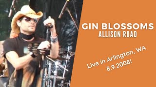 Gin Blossoms LIVE Allison Road [upl. by Nepsa]