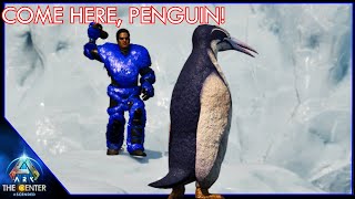 Hunting Penguins In The Snow  Ark The Center EP08 [upl. by Latsyrcal]