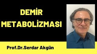 Hematoloji Demir Metabolizması Serdar Akgün [upl. by Sackey968]