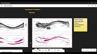 Anatomía  Clavícula Forma Caras Bordes Extremos Inserciones [upl. by Jarlen]