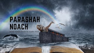 2a Noach  Illustrated Dvar Torah with Deeper Understanding into the time of the Flood [upl. by Ahsiema256]