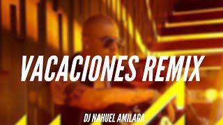 VACACIONES REMIX  Wisin  DJ Nahuel Amilaga [upl. by Loleta]