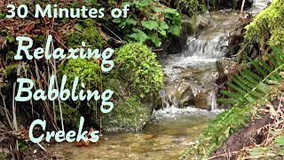 Babbling Brook Nature Sounds for Sleeping Relaxing Mountain Stream [upl. by Talya]