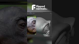 Introduction to Sculpting in Blender  FlippedNormals [upl. by Novelia720]