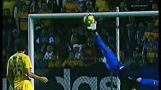 Guillermo Ochoa Great Save 2009 [upl. by Ajtak]