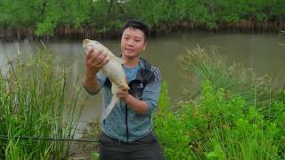 Mangrove fishing in the middle of a stormy day [upl. by Nolram]