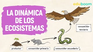 La dinámica de los ecosistemas  Biología y Geología 1° ESO [upl. by Maier]