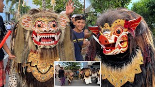 BARONG BANGKUNG MEPETUK DAHSYAT [upl. by Smailliw686]