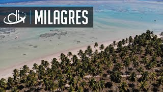 RÉVEILLON DOS MILAGRES Alagoas  DI Travel Drops  Destinos Imperdíveis [upl. by Guillemette964]