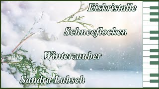 Eiskristalle Schneeflocken Winterzauber  Sandra Labsch [upl. by Ahtreb60]