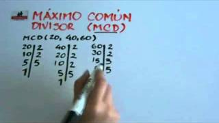 Máximo común divisor MCD [upl. by Low]