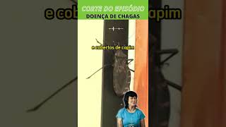 Como a doença de Chagas ou Tripanossomíase Americana foi descoberta [upl. by Aronael18]