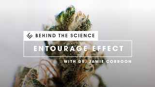 Terpenes amp Terpenoids  Presented by Dr Jamie Corroon [upl. by Aiksa605]