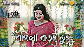 Rongila Baroi Toi Rongila Re  Salma amp HP Shohag  রিঙ্গলা বড়ই তুই রে Slowed 🌼 reverdLofi [upl. by Kristin]