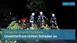 Unwetter in Deutschland Umgestürzte Bäume im Süden [upl. by Marcia]